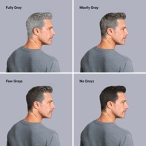 Men with varying amounts of gray hair